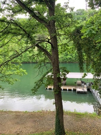 Back-porch-view