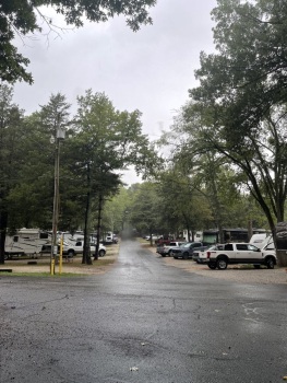 foggy-campground